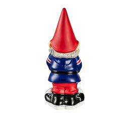 Montreal Canadiens, Garden Gnome, NHL