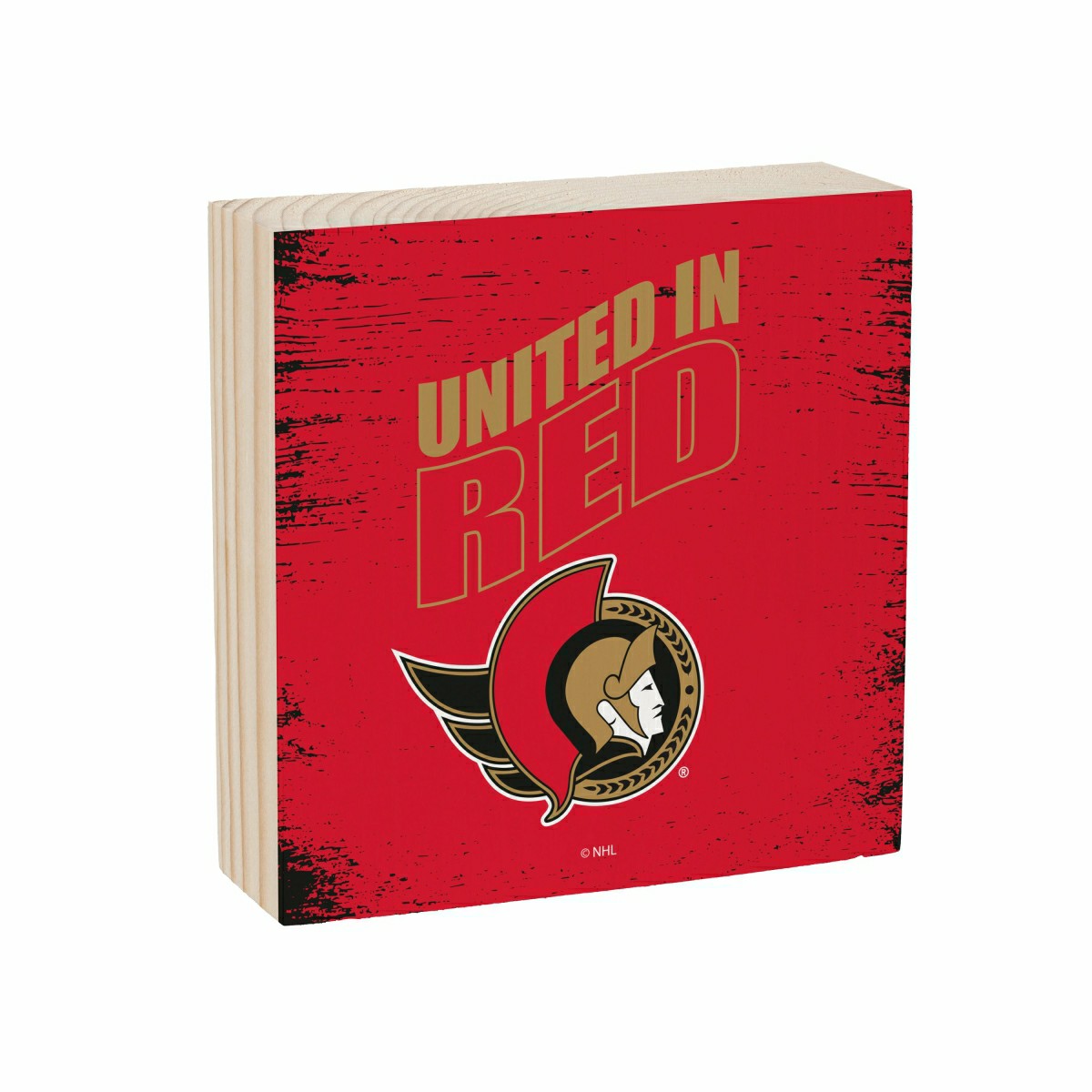 Ottawa Senators Plock, Down Home Fans, 6x6, NHL, Home