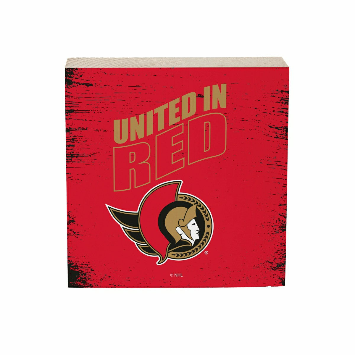 Ottawa Senators Plock, Down Home Fans, 6x6, NHL, Home