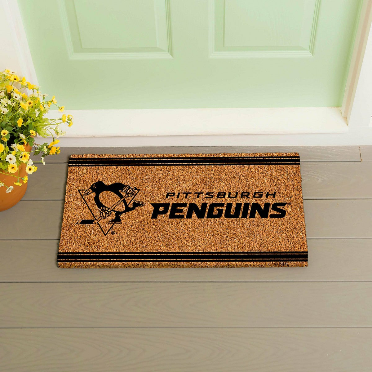 Pittsburgh Penguins, Coir Mat 1C, NHL
