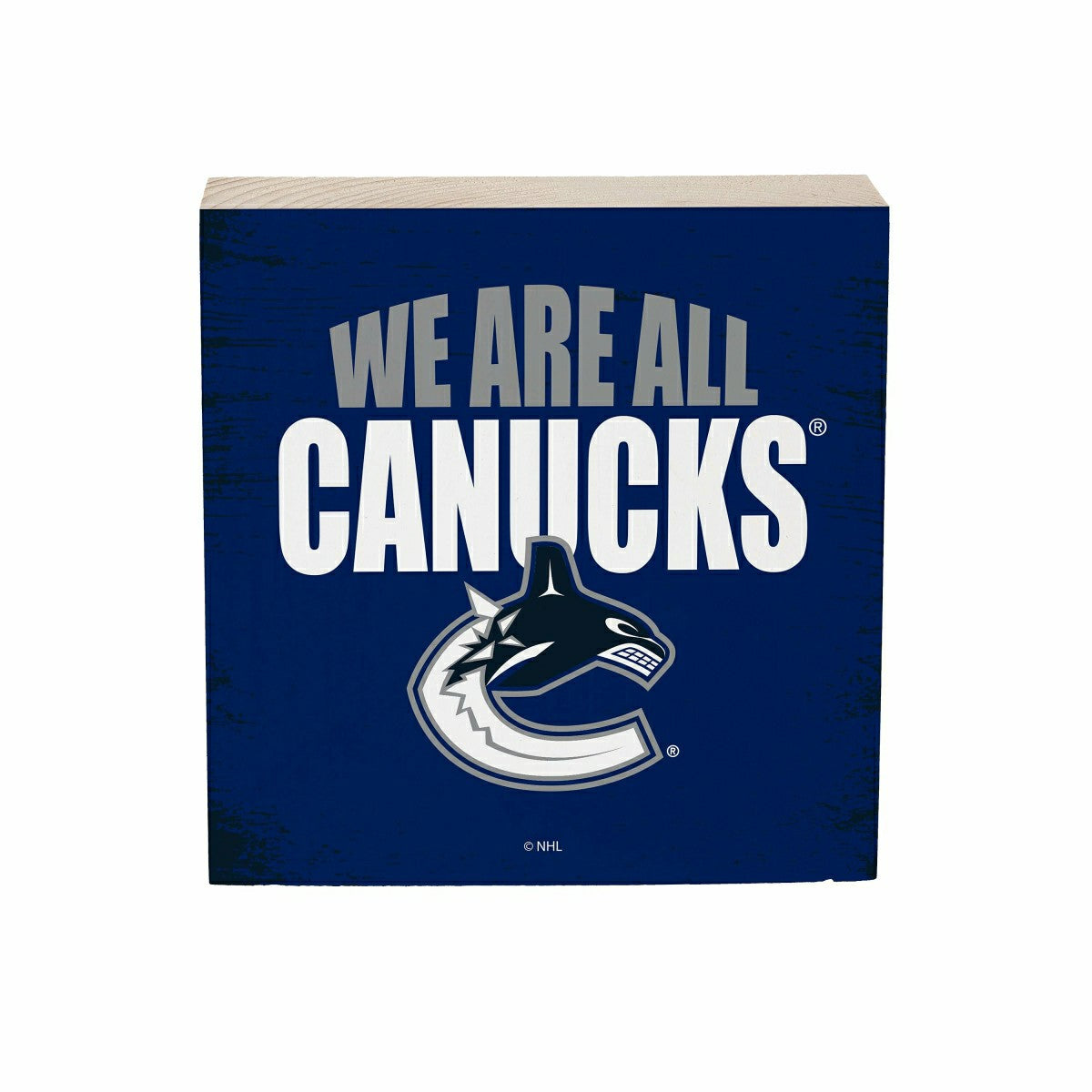 Vancouver Canucks Plock, Down Home Fans, 6x6, NHL, Home
