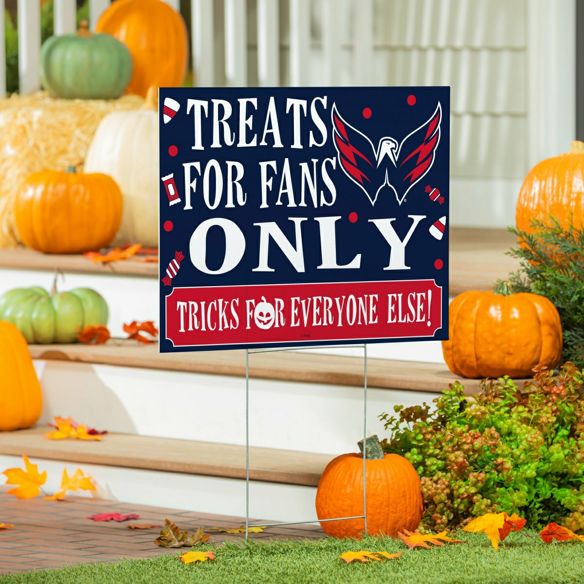 Washington Capitals Yard Sign, Halloween Treats for Fans, NHL, Home