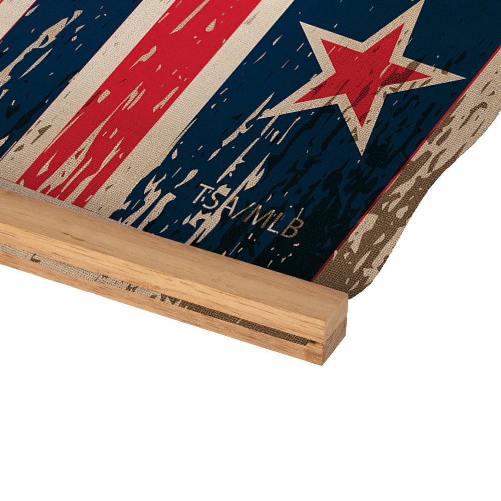 Boston Red Sox, Canvas Wall Tapestry, Medium, 36x24, MLB, Home