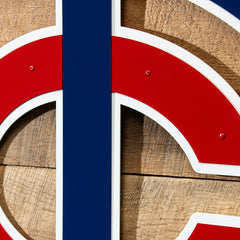 Minnesota Twins Premier Metal Wall Art, MLB, Home