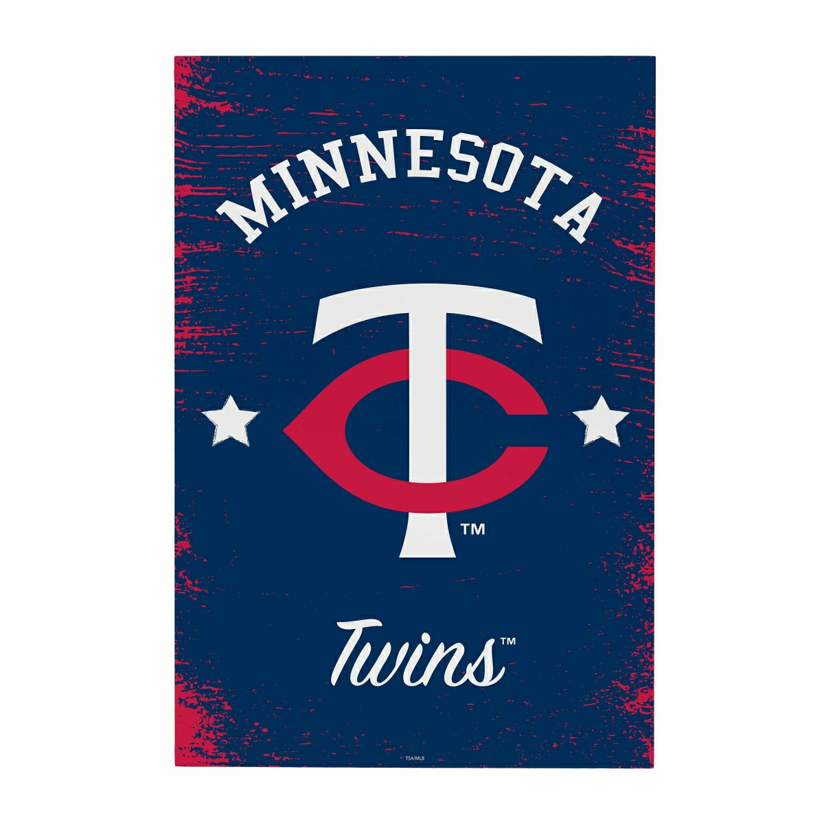 Minnesota Twins Wood Wall Sign, 16x24, MLB, Home