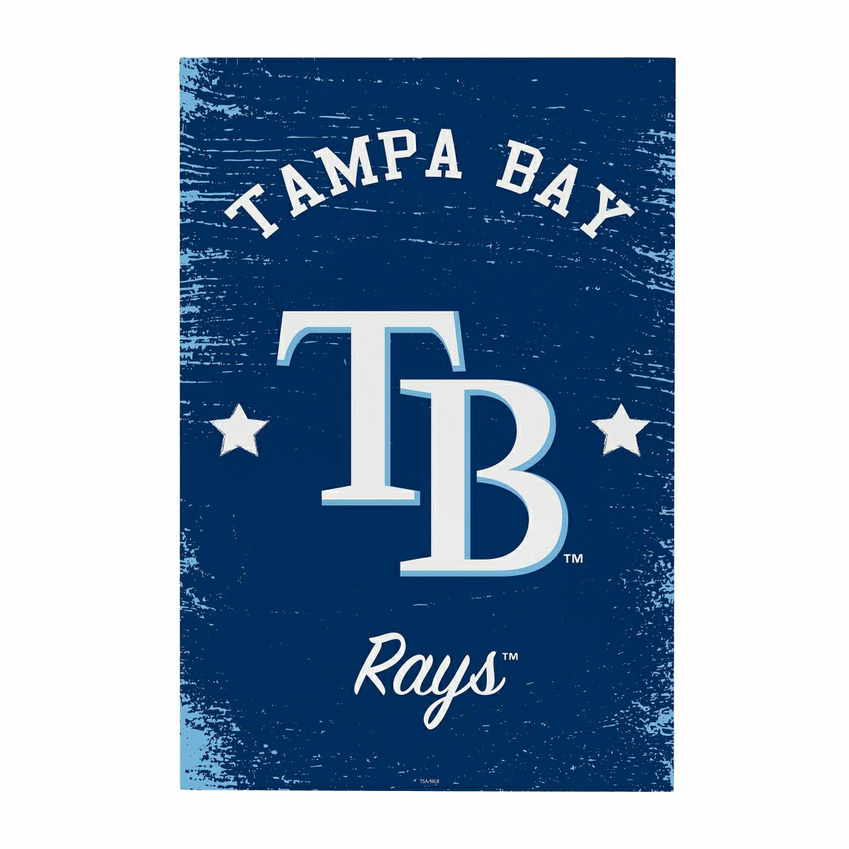 Tampa Bay Rays Wood Wall Sign, 16x24, MLB, Home