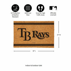 Tampa Bay Rays Large One Color Coir Mat, 36"x24", MLB