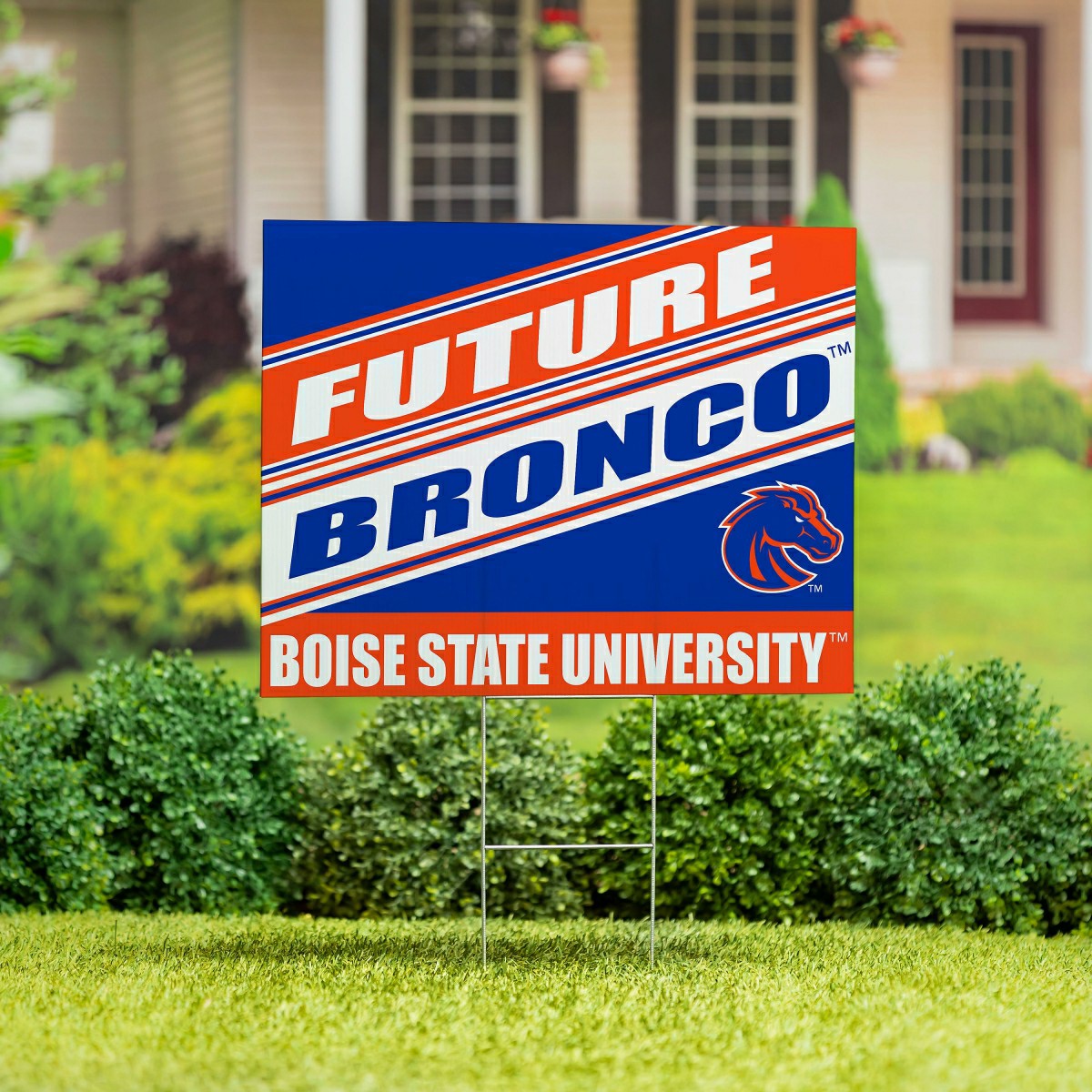 Boise State University Coroplast Yard Sign, Future Student, Collegiate, Home