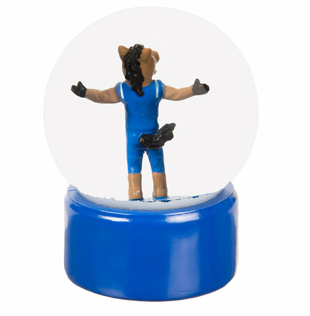 Water Globe, Boise State University, Collegiate, Home