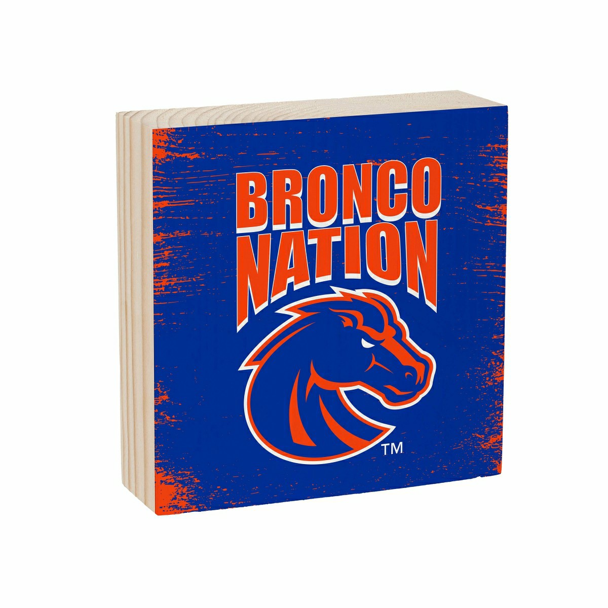 Boise State University Plock, Down Home Fans, 6x6, Collegiate, Home