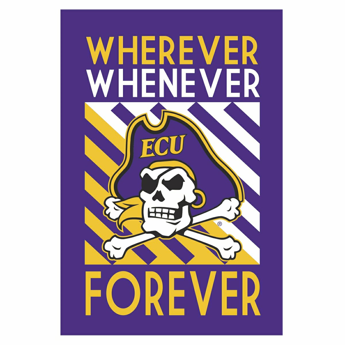 ECU WWF House Flag, Collegiate, Home