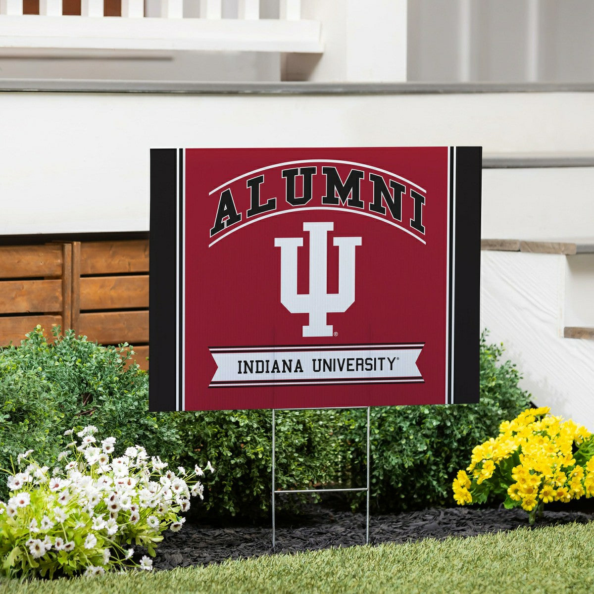 Indiana University Coroplast Yard Sign Alumni, Collegiate, Home