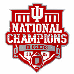 Indiana University, Div 1 Champs, Layered Metal Wall Art, Collegiate, Home
