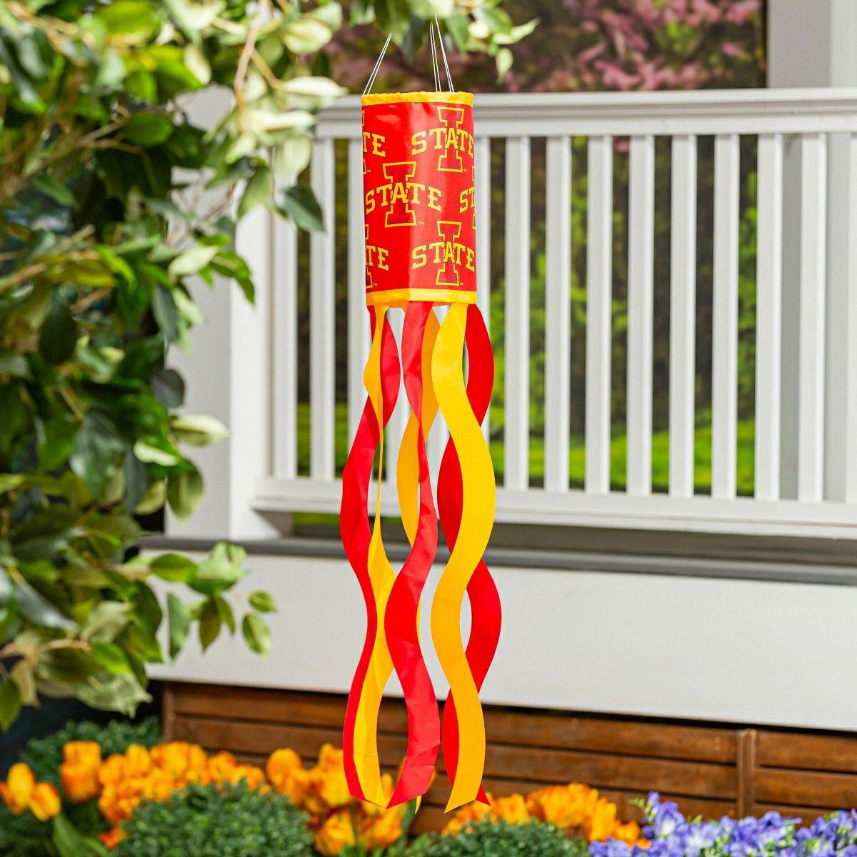 Iowa State University Windsock, Collegiate, Home