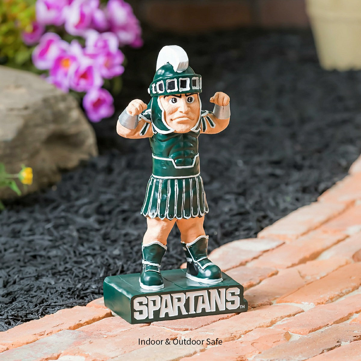 Michigan State University, Mascot Statue, Collegiate, Home