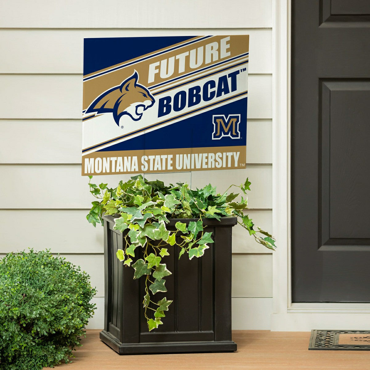 Montana State University Coroplast Yard Sign, Future Student, Collegiate, Home