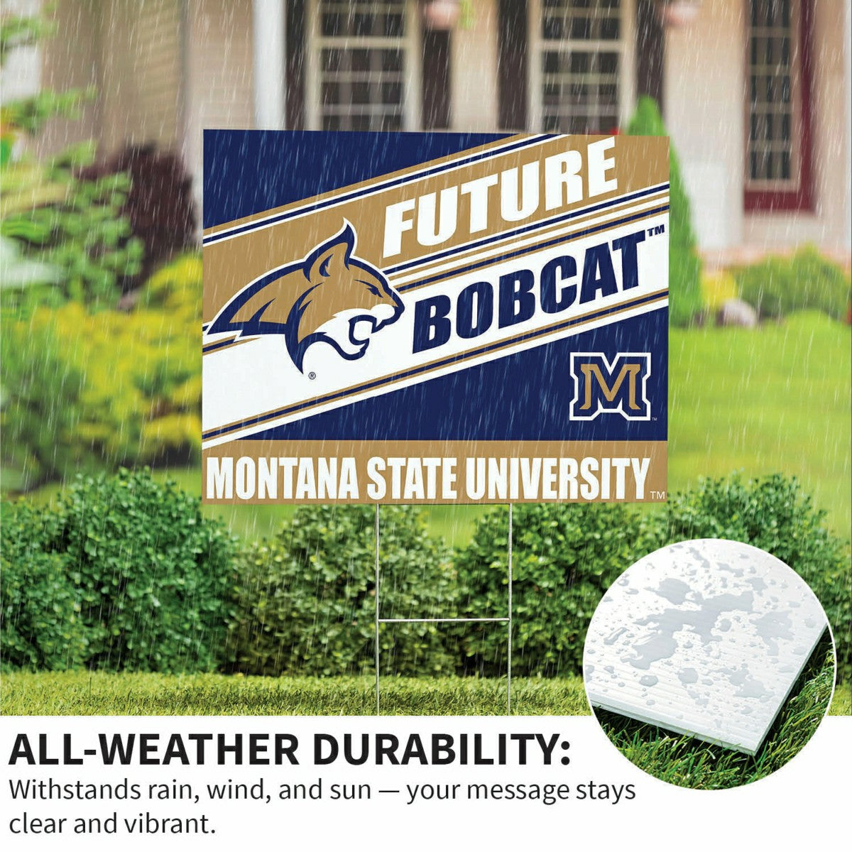 Montana State University Coroplast Yard Sign, Future Student, Collegiate, Home