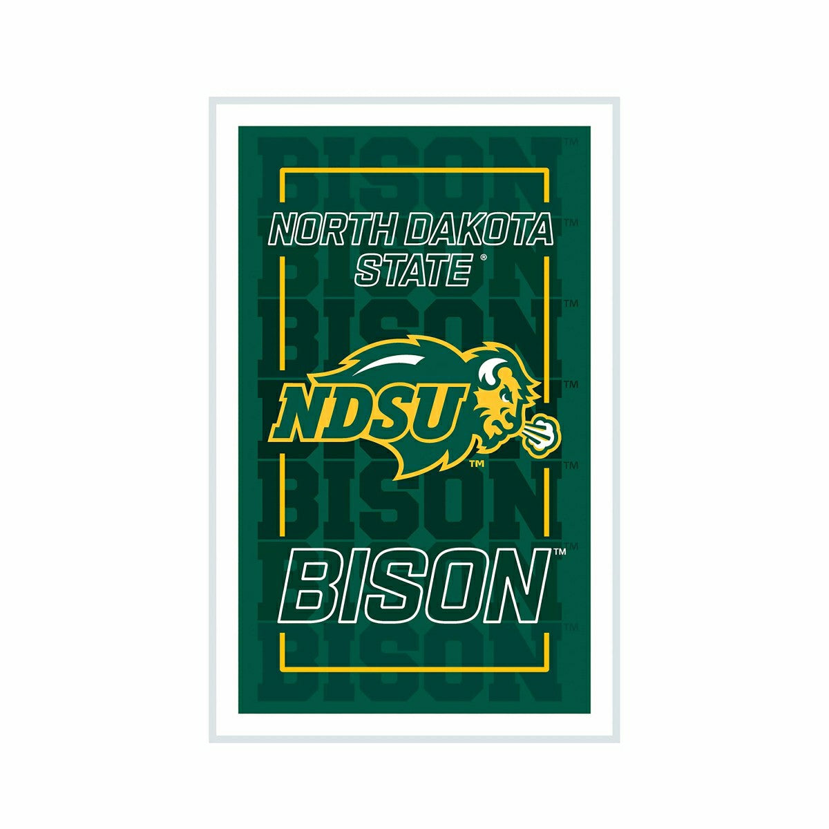 North Dakota State University College Rectangle Neolite LED Decor, Collegiate, Sale, Home