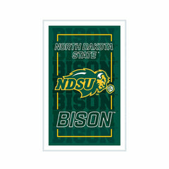 North Dakota State University College Rectangle Neolite LED Decor, Collegiate, Sale, Home