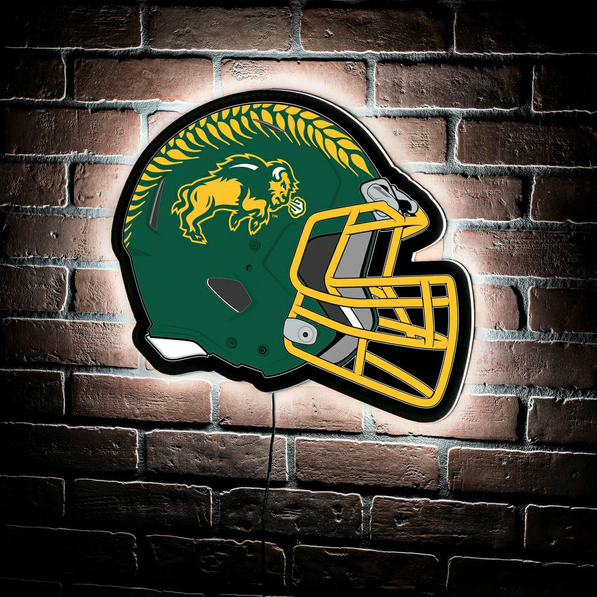 LED Wall Decor, Helmet, North Dakota State University, Collegiate, Home