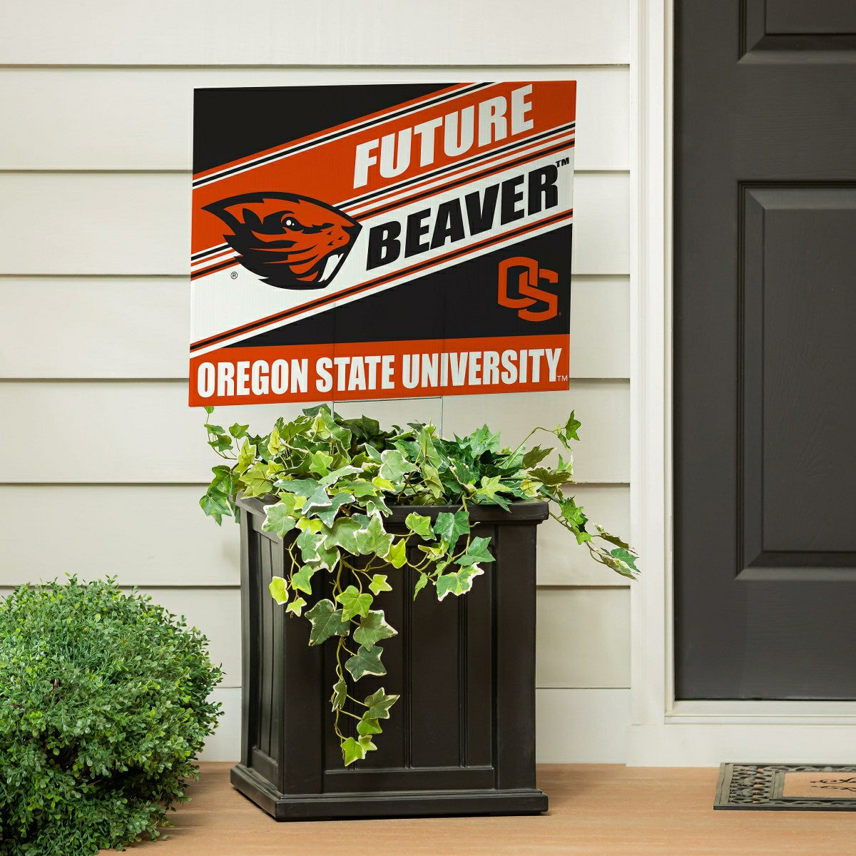 Oregon State University Coroplast Yard Sign, Future Student, Collegiate, Home