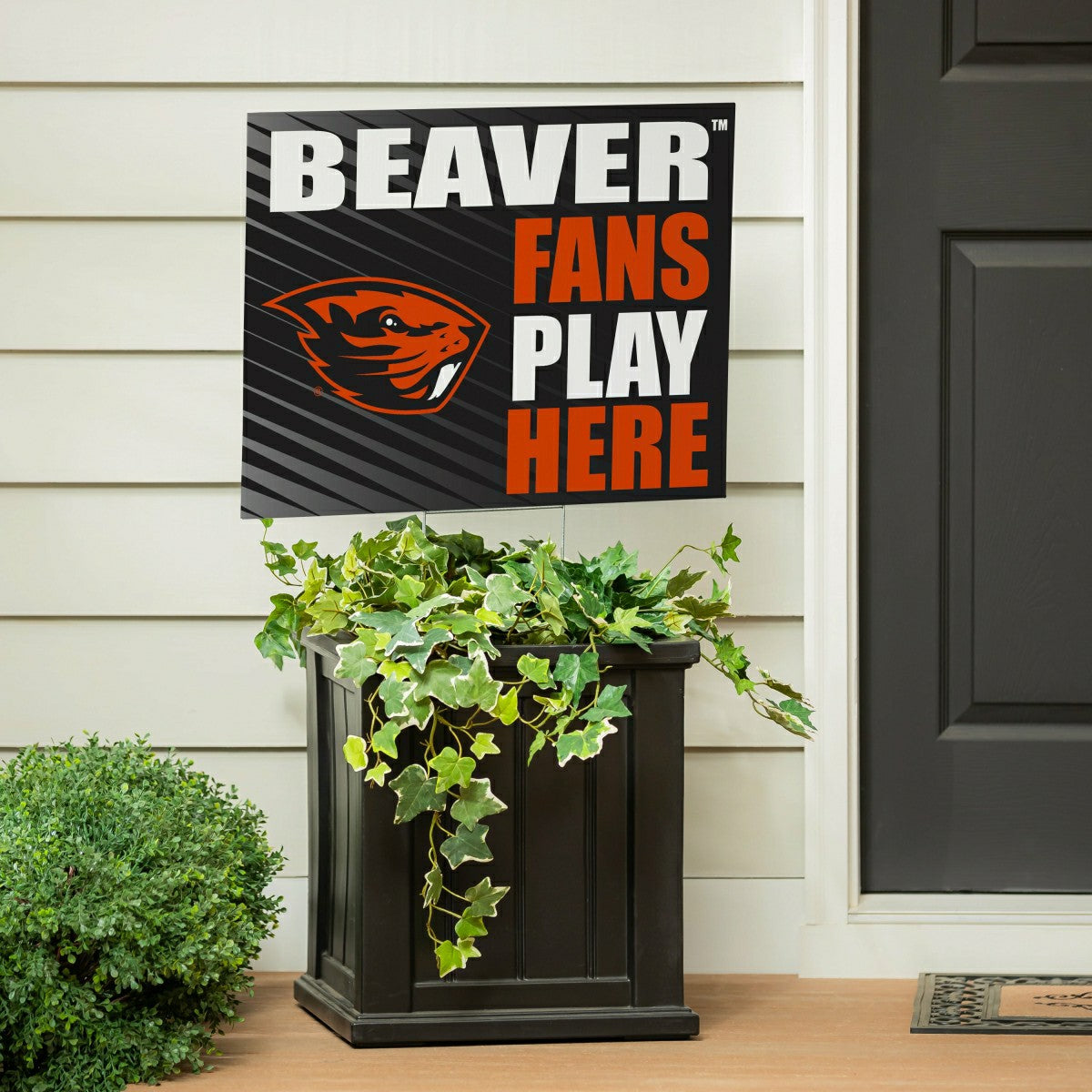 Oregon State University Coroplast Yard Sign "Fans Play Here", Collegiate, Home