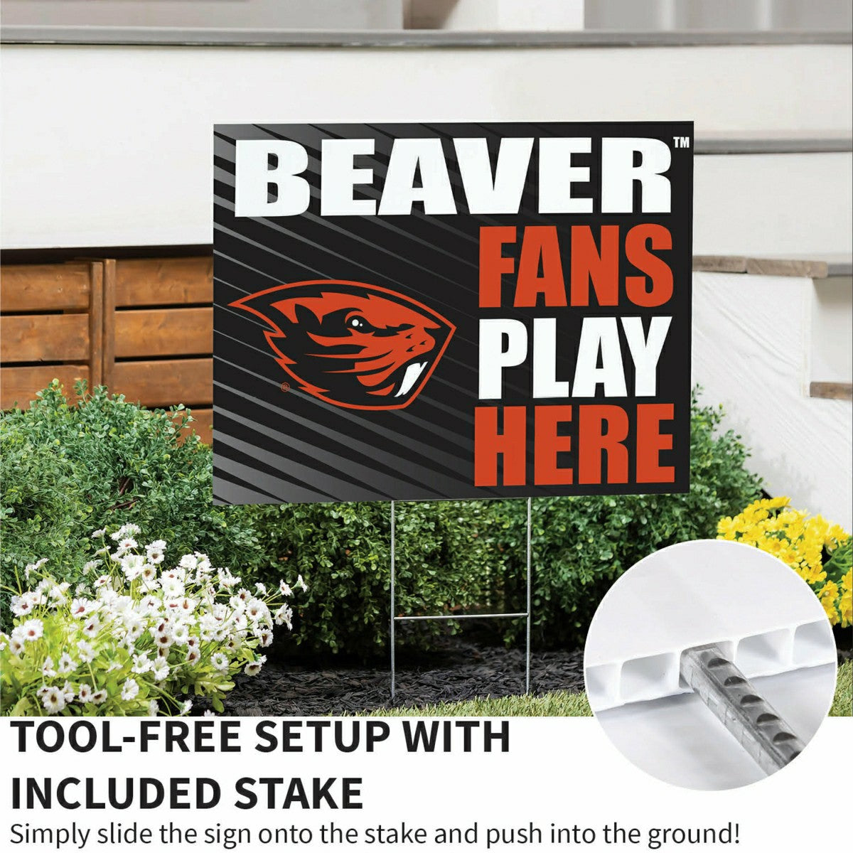 Oregon State University Coroplast Yard Sign "Fans Play Here", Collegiate, Home