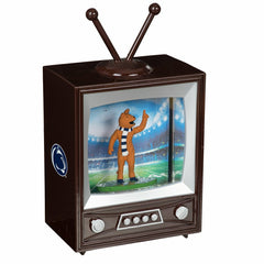 Penn State Vintage TV Water Lantern, Collegiate, Home