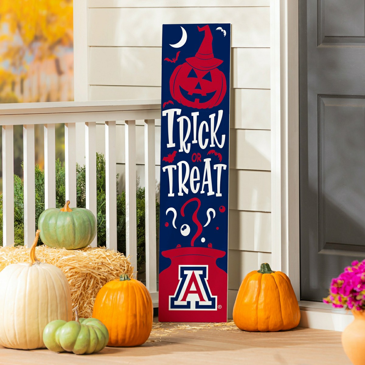 University of Arizona 47" Double Sided Leaner, Halloween, Collegiate, Home