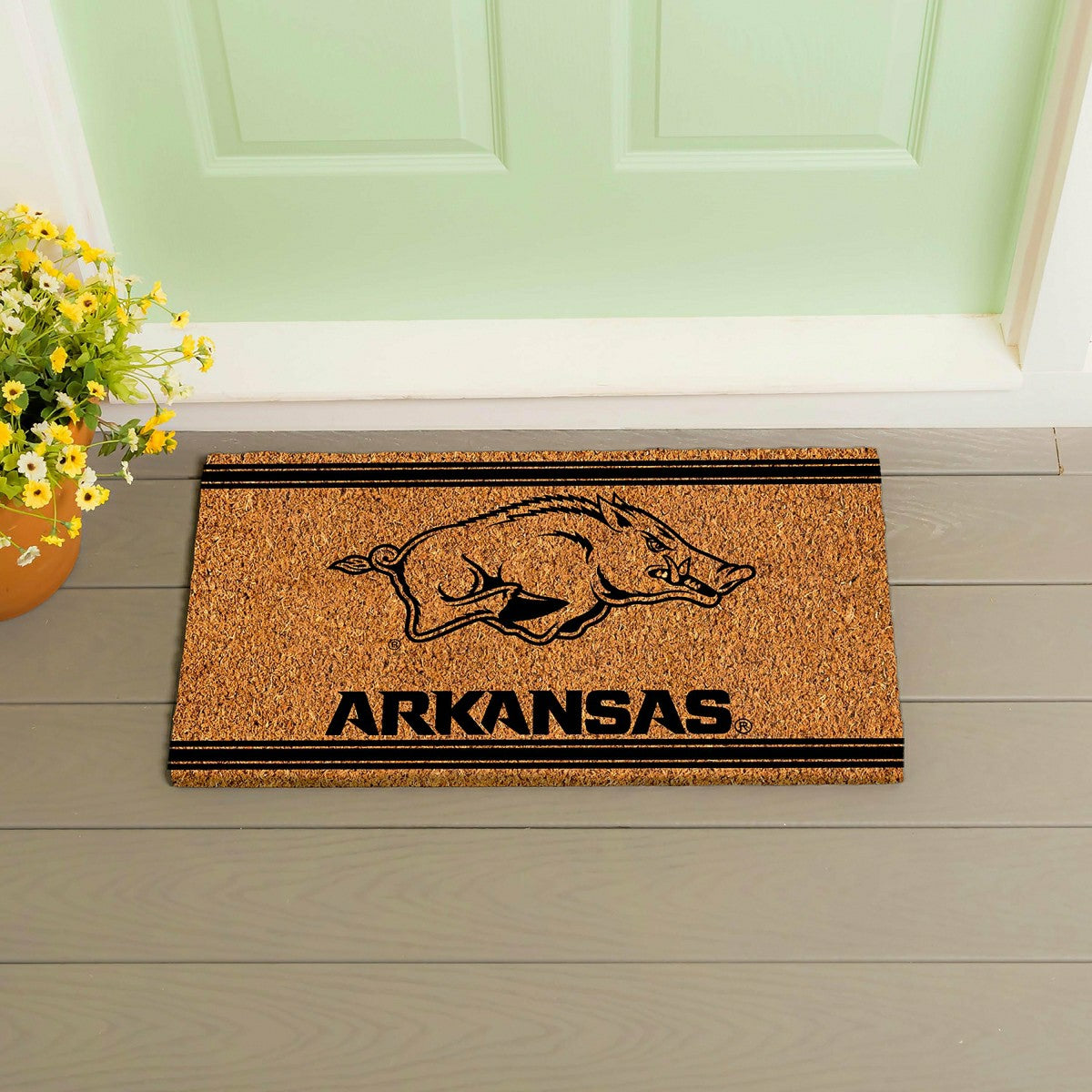 University of Arkansas, Coir Mat 1C, Collegiate