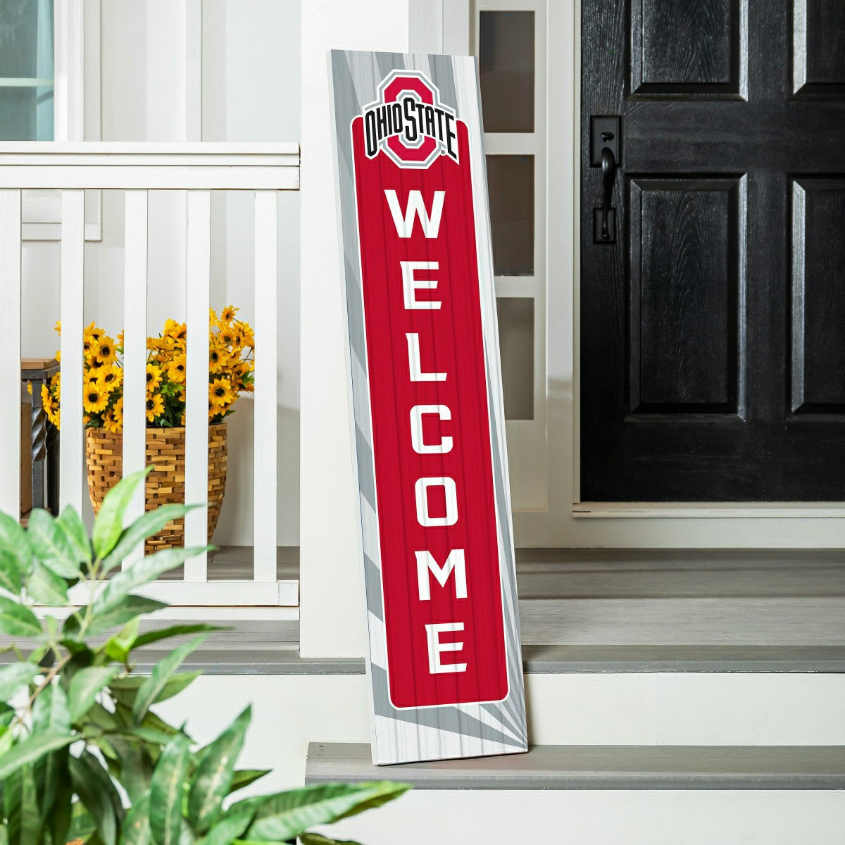 University of Colorado Summer Seasonal Single Sided Large Leaner, 46", Collegiate, Home