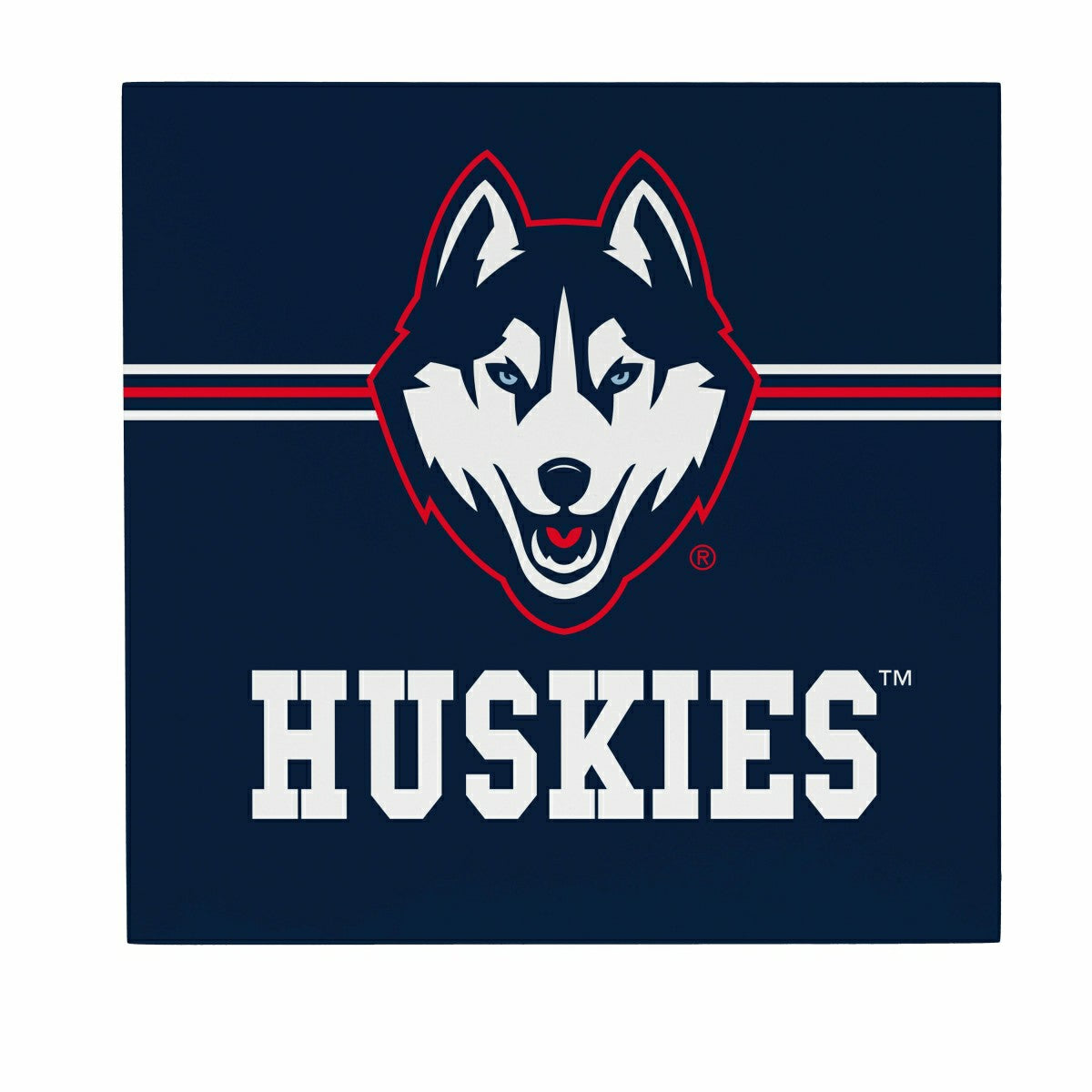 University of Connecticut Wood Wall Sign, 12x12, Collegiate, Home