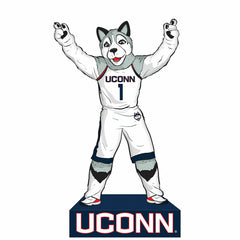 University of Connecticut, Mascot Statue, Collegiate, Home