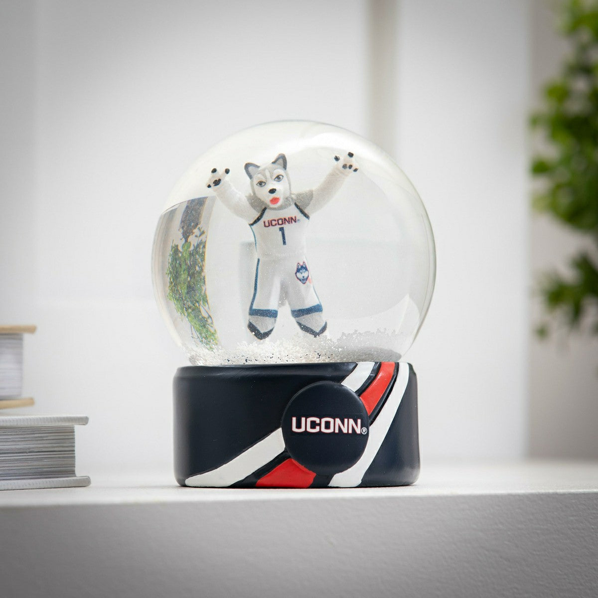 Water Globe, University of Connecticut, Collegiate, Home