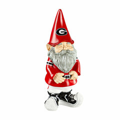 University of Georgia, Garden Gnome, Collegiate, Home