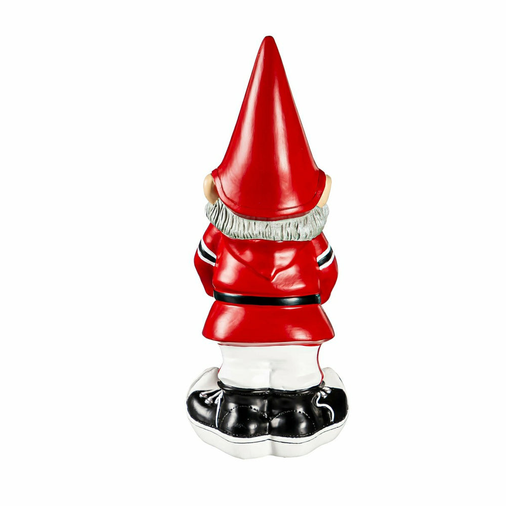 University of Georgia, Garden Gnome, Collegiate, Home