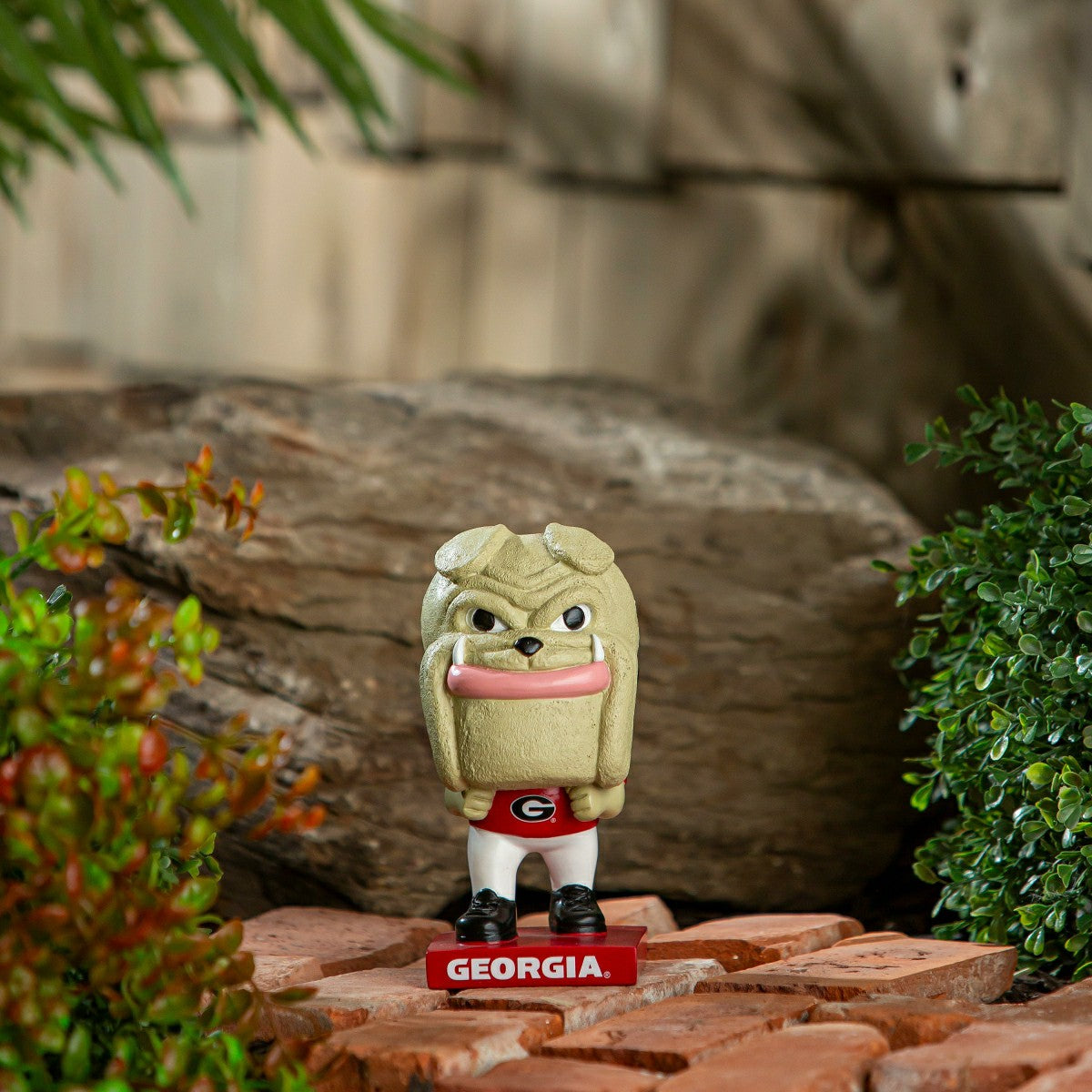 Lil Big Head Statue, Mascot, University of Georgia, Collegiate, Home