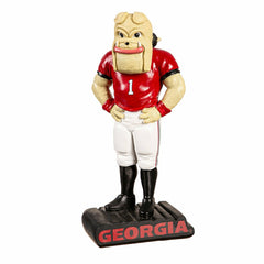 University of Georgia, Mascot Statue, Collegiate