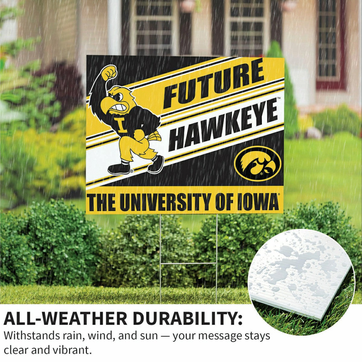 University of Iowa Coroplast Yard Sign, Future Student, Collegiate, Home