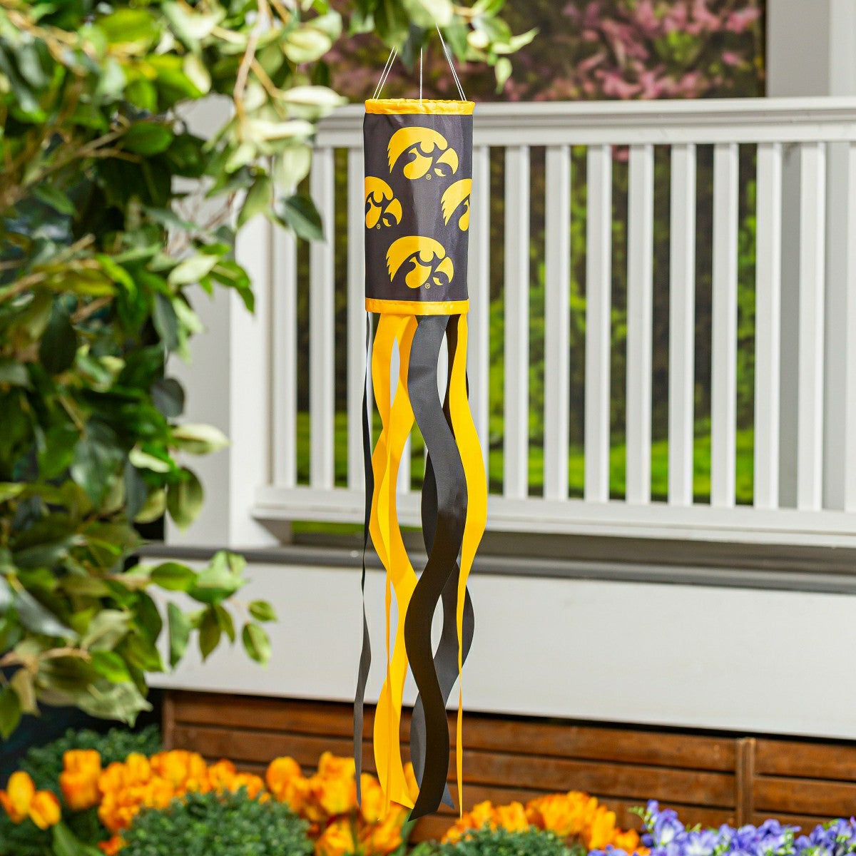 University of Iowa Windsock, Collegiate, Home