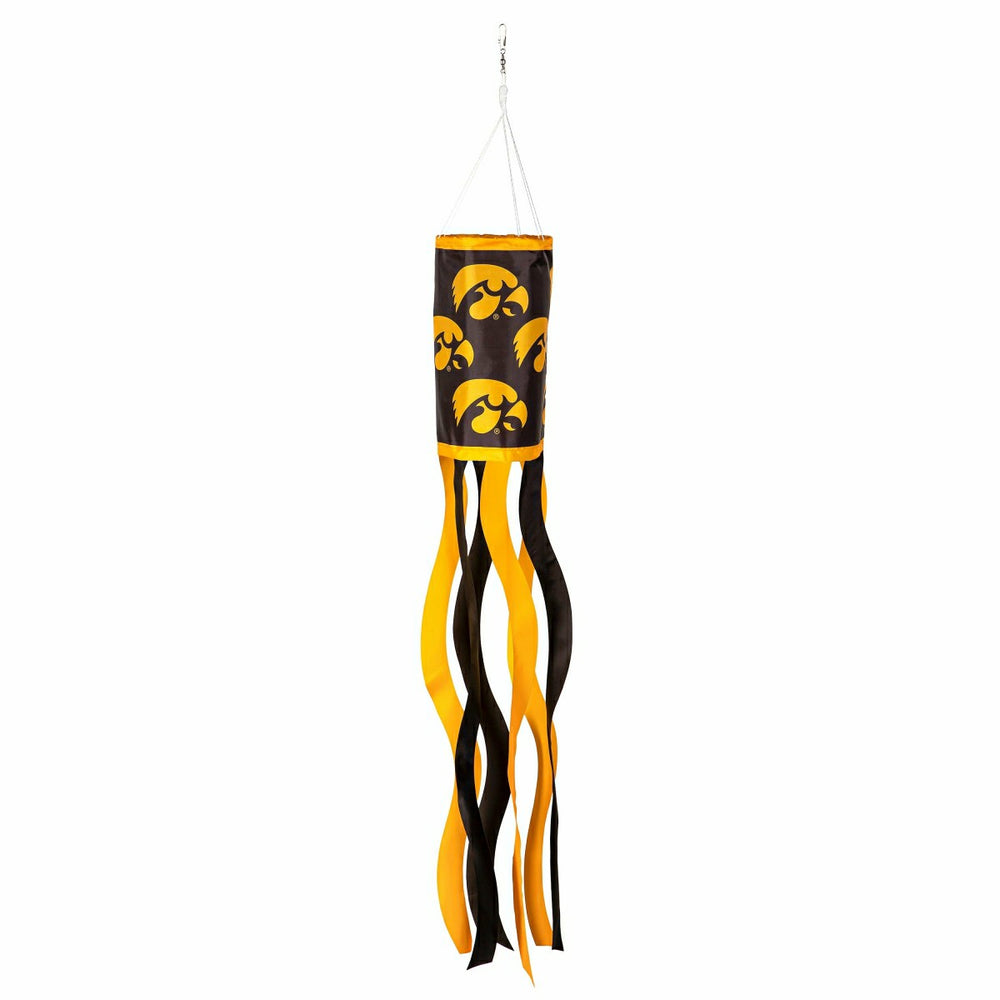 University of Iowa Windsock, Collegiate, Home