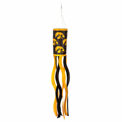 University of Iowa Windsock, Collegiate, Home