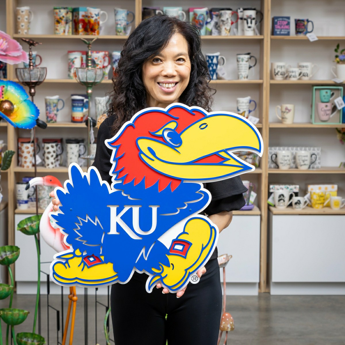 University of Kansas Premier Metal Wall Art, Collegiate, Home