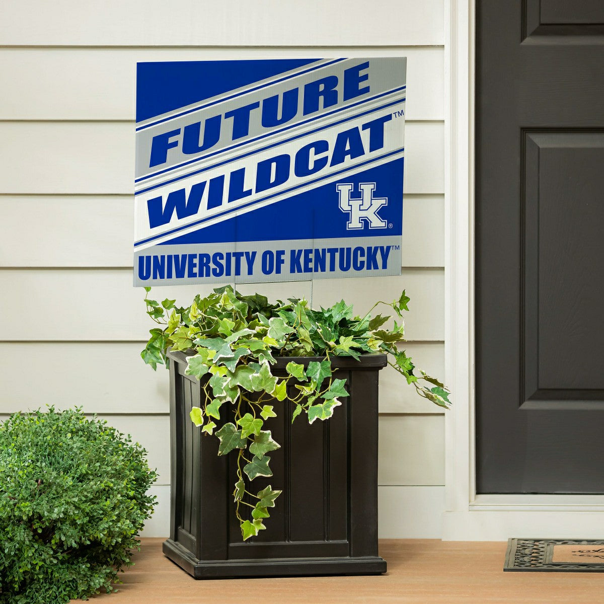 University of Kentucky Coroplast Yard Sign, Future Student, Collegiate, Home