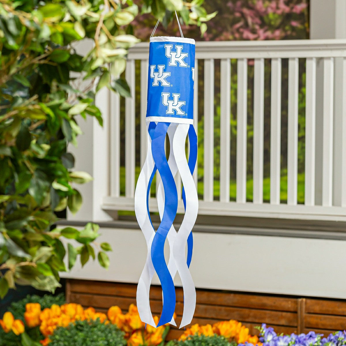 University of Kentucky Windsock, Collegiate, Home