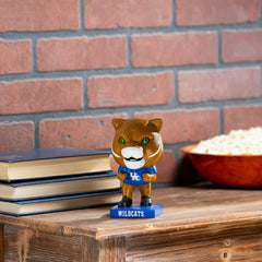 Lil Big Head Statue, Mascot, University of Kentucky, Collegiate, Home
