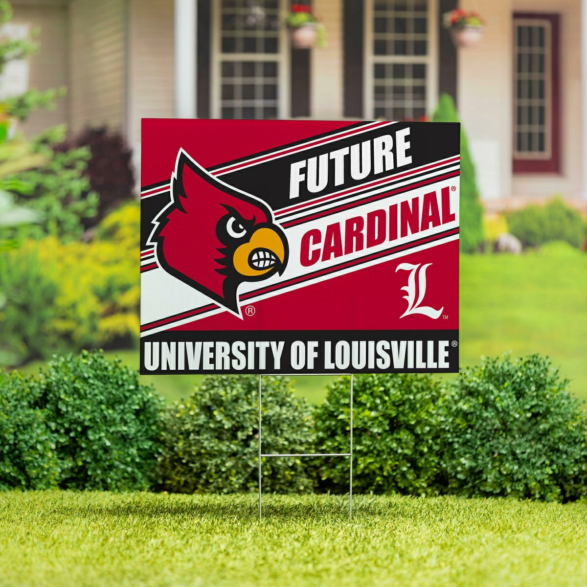 University of Louisville Coroplast Yard Sign, Future Student, Collegiate, Home