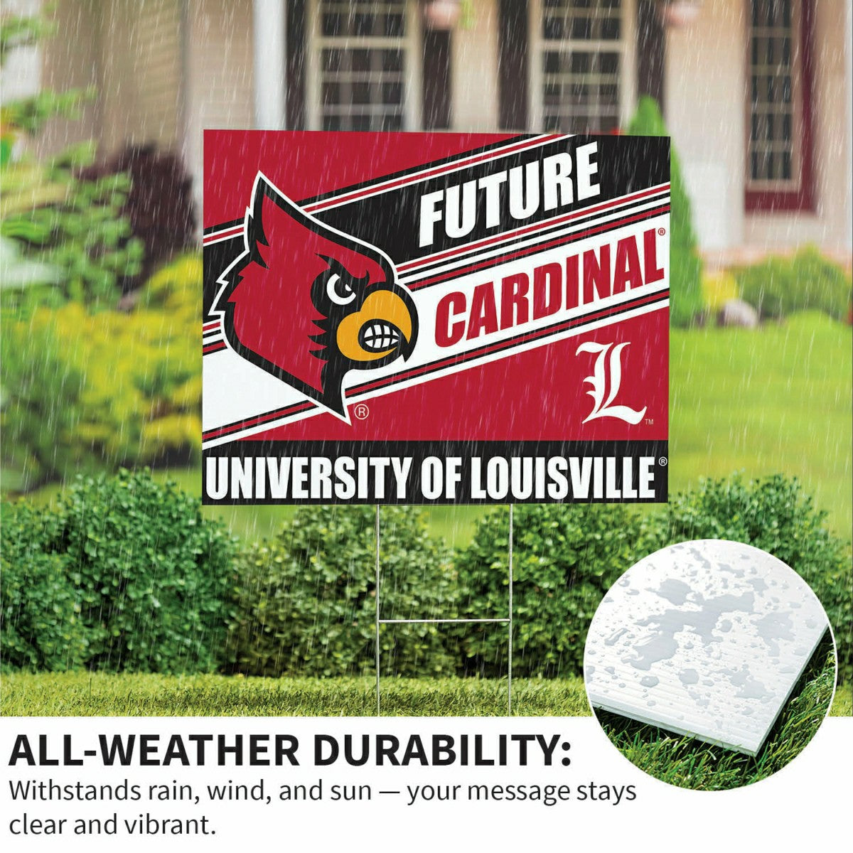 University of Louisville Coroplast Yard Sign, Future Student, Collegiate, Home
