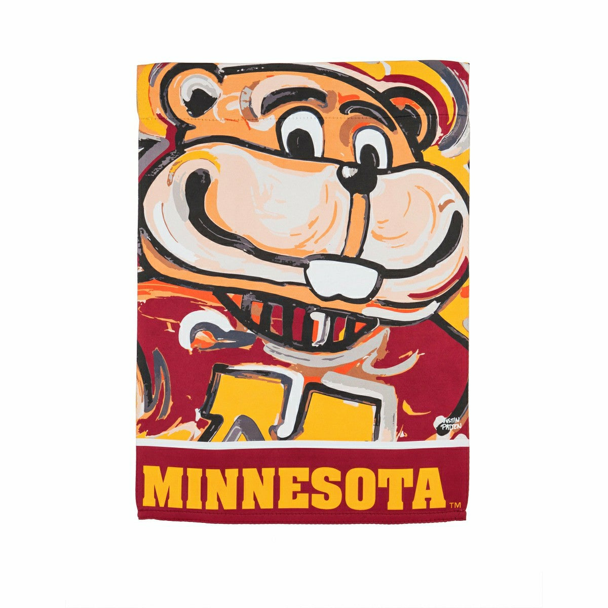 Minnesota, Suede GDN Justin Patten, Collegiate, Home
