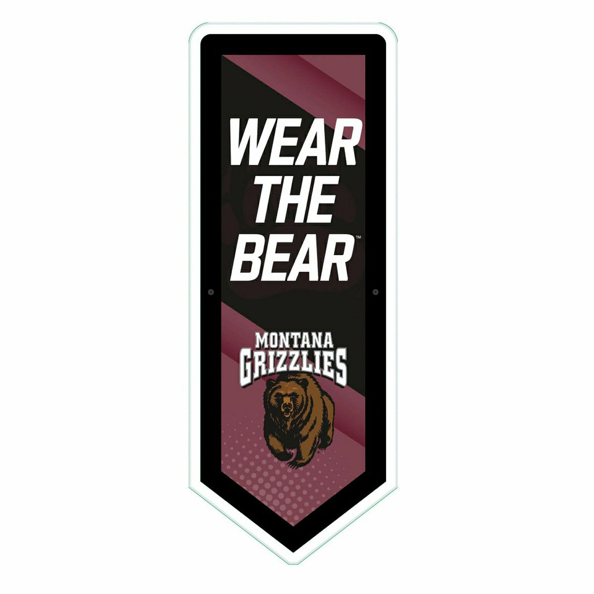 LED Wall Decor, Pennant, University of Montana, Collegiate, Home